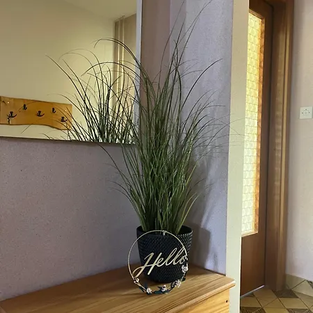 Apartma Span Apartment *