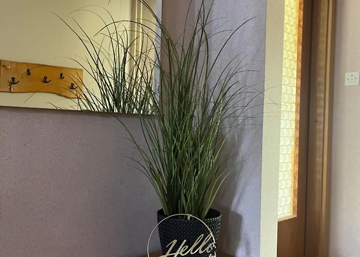 Apartma Span Lejlighed *